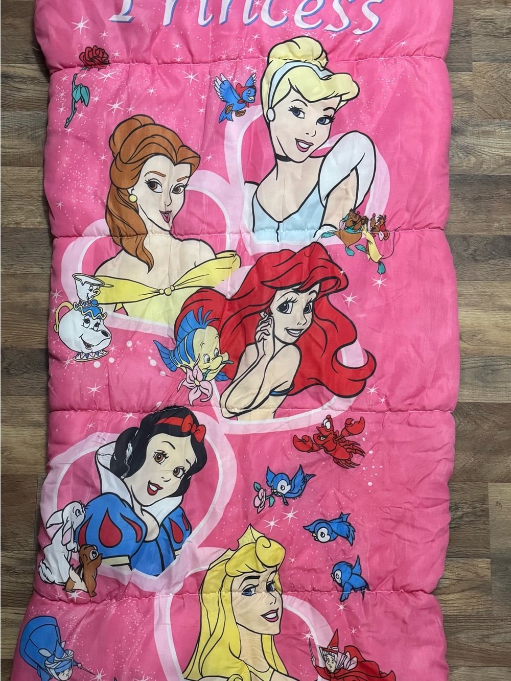 Disney Pink Princess Sleeping Bag featuring Classic Princesses